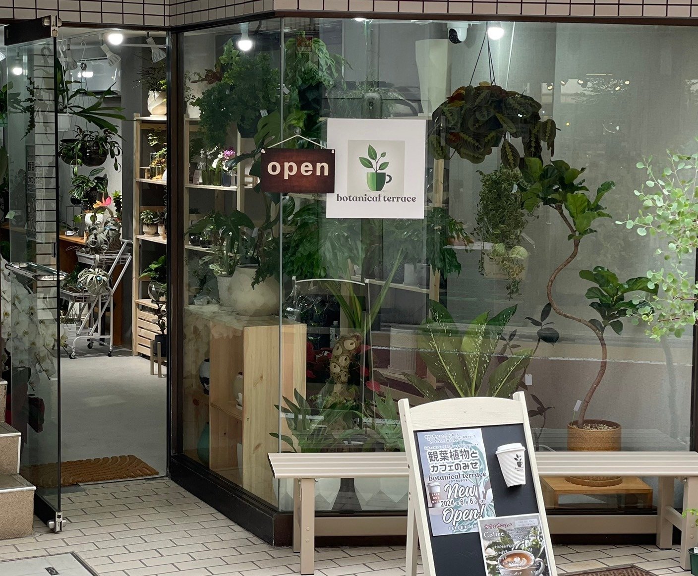 【引き取り限定】特大 シダ 観葉植物 カフェ 店舗 美容院 オフィス 三次市三良坂町】ボタニカルサロン / ハイヅカ湖畔の森にある観葉植物