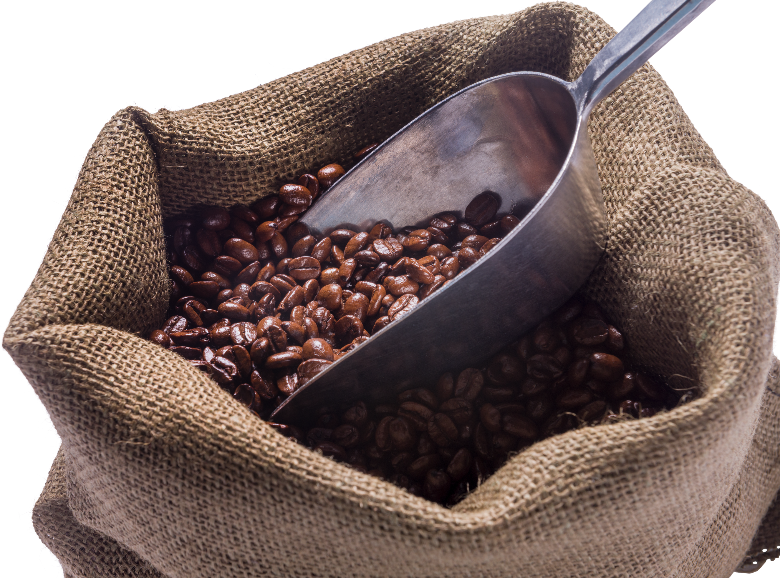 A Scoop in a Burlap Sack of Coffee Beans - Isolated